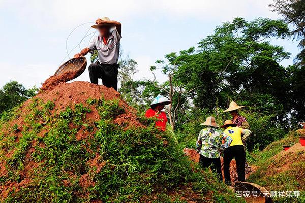 衡陽縣安福陵園有限責任公司,衡陽安福陵園,衡陽園林式墓園,仙桃墓,涼亭墓